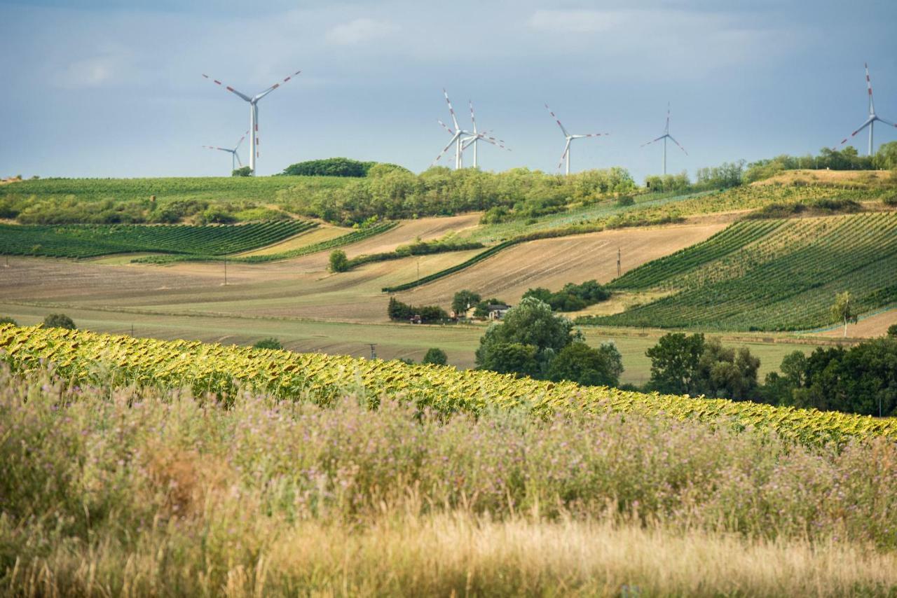 Weingut Martinshof Hotel Sankt Ulrich  ภายนอก รูปภาพ